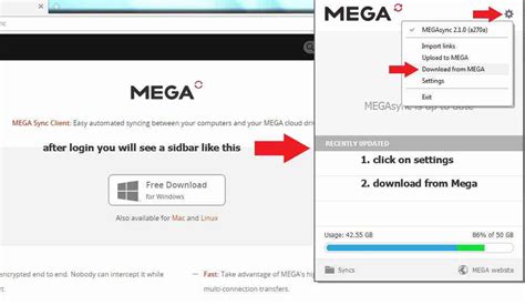 downloader for mega|How to Download from MEGA using a Download .